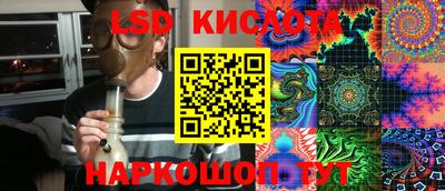 PSILOCYBIN Краснодар