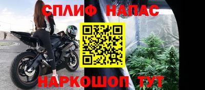 PSILOCYBIN Краснодар